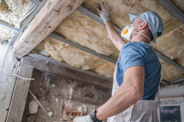 Best Residential Insulation in Reston, VA