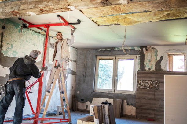 Best Specialized Insulation Services in Reston, VA
