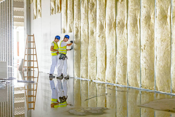 Reliable Reston, VA Insulation Contractor Solutions